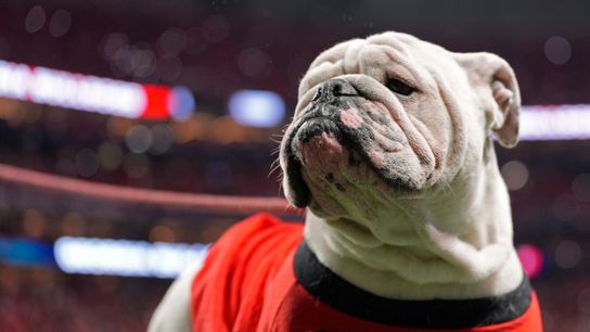 CFB Week 12 Forecast: UGA/Texas lock horns  (College Football)