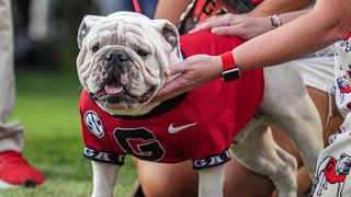 CFB Forecast Week 3: UGA looking to climb Rocky Top (College Football). Photo by Dale Zanine-Imagn Images