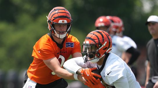 Cincinnati Bengals 2025 Forecast: Bankable Burrow, Brown (NFL)